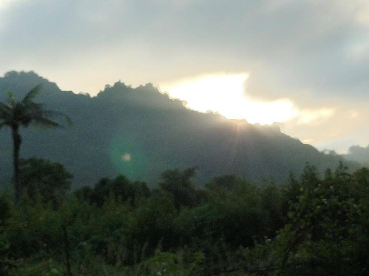The Dawn 2 By Tiny Away Villa เกาสง ภายนอก รูปภาพ